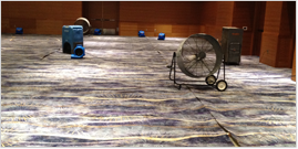 Stitch Carpet Repair Austin Carpet Stretching, Patching, Pet Damage Repair